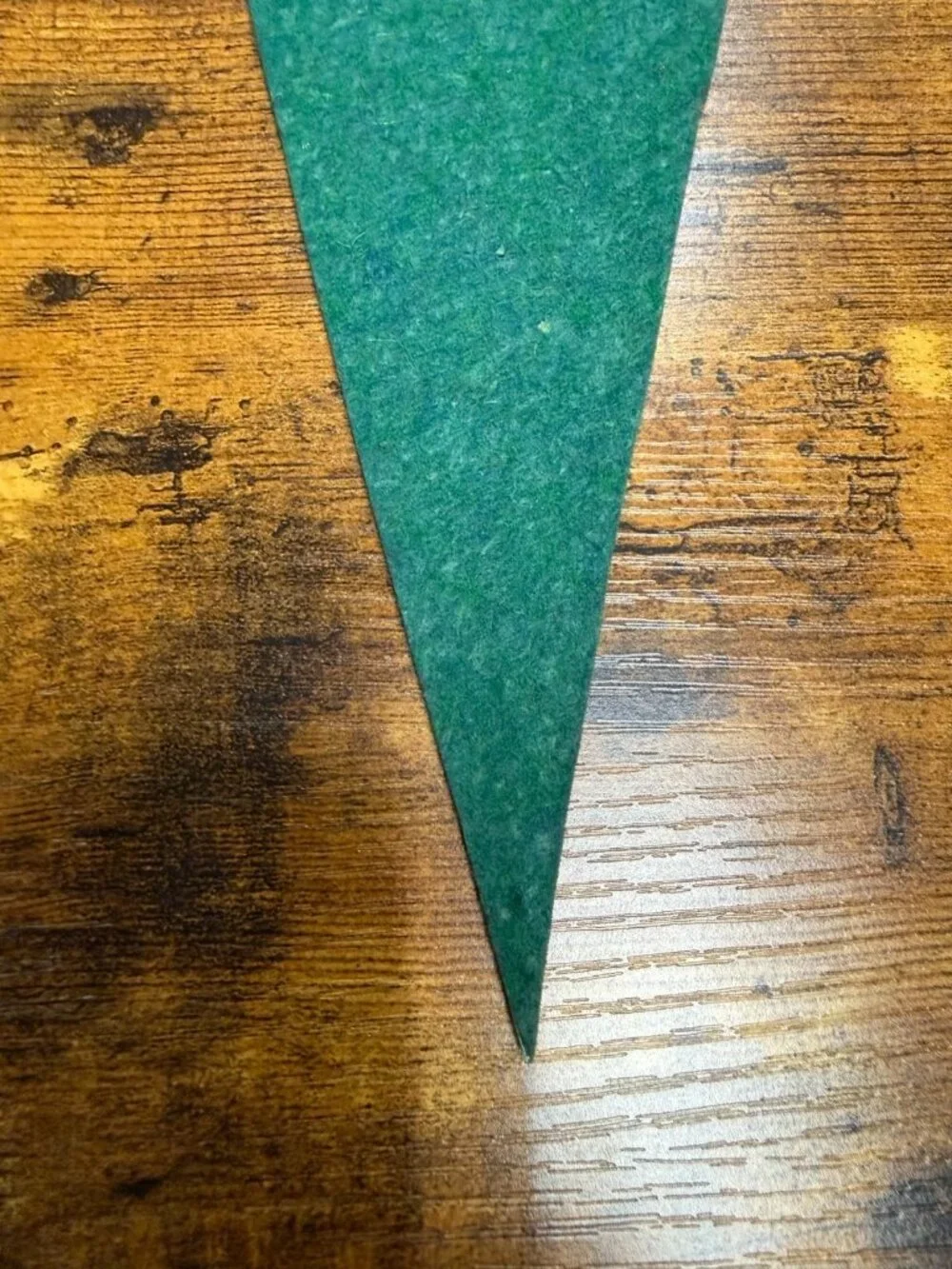 Vintage Silver Springs, Fla mini pennant